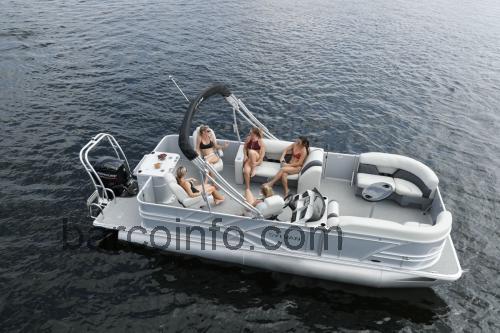 Sylvan Mirage 8520 Party Fish ficha técnica y opiniones